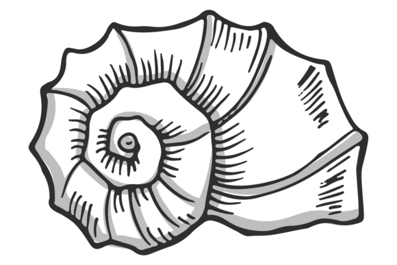 Snail Shell Hand Drawn Icon: Decorative Style for Authentic Design